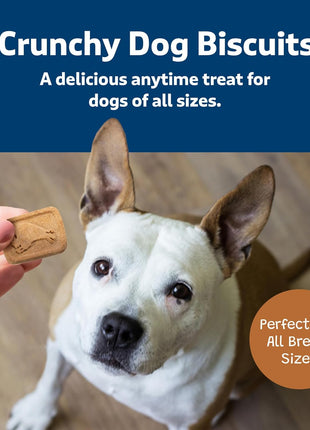 Blue Buffalo Health Bars Crunchy Dog Biscuits, Oven-Baked With Natural Ingredients, Pumpkin & Cinnamon, 16-oz Bag