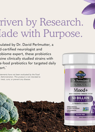 Garden of Life Probiotics Mood+ Dr Formulated Acidophilus Probiotic Supplement - Promotes Emotional Well-Being, Relaxation and Digestive Balance - Ashwagandha for Stress Management, 60 Veggie Caps