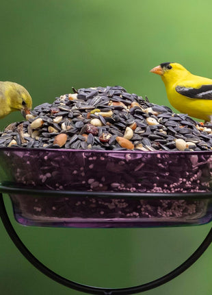 Audubon Park Nut & Fruit Wild Bird Seed – 15 lb. Premium Blend with Sunflower Seeds, Peanuts, Safflower & Dried Fruit – Bird Food for Outside Feeders