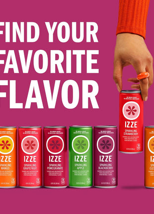 Izze Sparkling Juice, 4 Flavor Variety Pack, 8.4 Fl Oz (24 Count)
