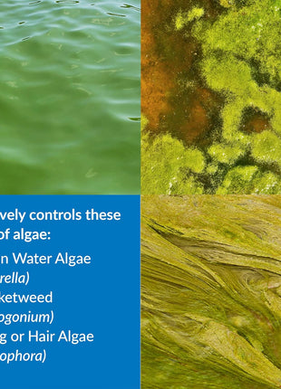 API POND ALGAEFIX Algae Control 1-Gallon Bottle