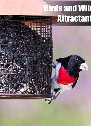 Old Potters Wildlife Black Oil Sunflower Seeds for Birds and Wildlife, Non-GMO & USA Grown on Small Farms (12 lbs)