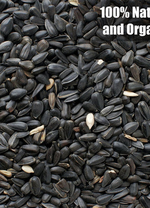 Old Potters Wildlife Black Oil Sunflower Seeds for Birds and Wildlife, Non-GMO & USA Grown on Small Farms (12 lbs)