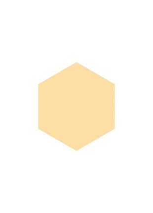 Shiseido Integrated Graisy Control Base (Natural) (SPF15, PA+), 0.9 oz (25 g)