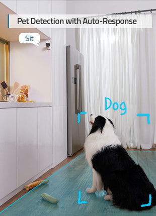 eufy Security Indoor Cam C120 | Plug-in Security Camera 3 MP | 2K with Wi-Fi | IP Camera | Voice Assistant Compatibility | Night Vision | Two-Way Audio | HomeBase 3 Compatible | Audio and Motion Alert
