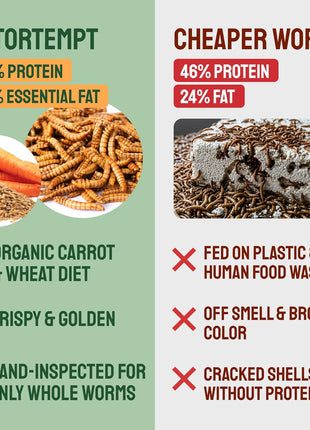 Hatortempt Dried Mealworms - Non-GMO & Organic - High-Protein Mealworms for Wild Bird Food, Ducks & Chickens (5lb)