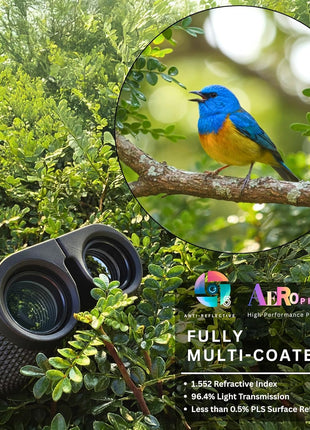 10x25 Compact Binoculars for Adults and Kids | Bird Watching, Travel, Cruise Ship, Sport Games, Theater, Concerts, Road Trip