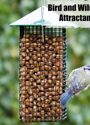 Old Potters Wildlife Shelled Peanuts, 10 lbs for Birds, Squirrels, and Wildlife. USA Grown Non-GMO, Organic Small Farm, Raw Shelled Peanuts. Wildlife Grade.