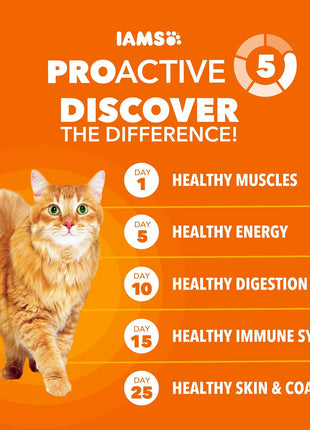 IAMS Proactive Health Dry Cat Food, Healthy Cat Food Dry Recipe for Adults, with Chicken 22 lb. Bag