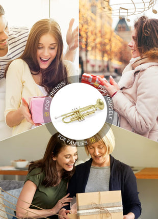 Eastar Bb Standard Trumpet Set for Beginner, Brass Student Trumpet Instrument with Hard Case, Cleaning Kit, 7C Mouthpiece and Gloves, ETR 380, Golden