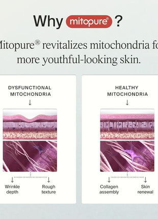Timeline MitopureTM - Dewy Cream Lightweight Moisturizer With Peptides to Hydrate, Plump & Protect Dry Skin - 1.7 Fl Oz