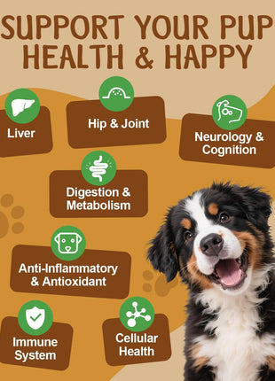 Turkey Tail for Dogs - 9 Organic Mushroom Supplement, Turkey Tail Mushroom for Dogs - Gut, Skin, Joint, Immune Health- Dog Lumps & Bumps