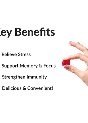 Force Factor Amazing Ashwa for Stress Relief + Better Turmeric Joint Support + Total Beets Heart-Healthy Energy Soft Chews (60 Chews Each)
