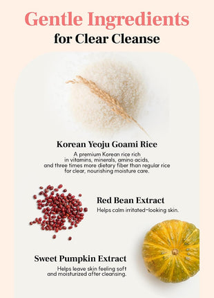 S.NATURE AQUA RICE FOAM CLEANSER | Facial Cleanser, Rice Extract Rice Powder Cleanser with Mild Cleansing, Glycerin,Vegan, Face Wash, Korean Skincareᅵ 160ml 5.4 Fl Oz