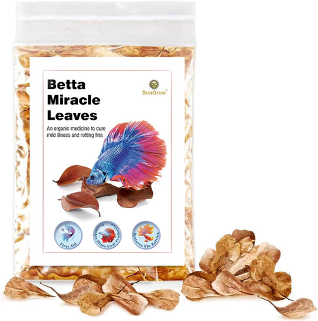 SunGrow 50 pcs Catappa Indian Almond Leaves – 2" Water Conditioner for Betta Fish Tank, Aquarium Leaf for Fish Breeding, Shrimp, Goldfish, Guppy & Frogs
