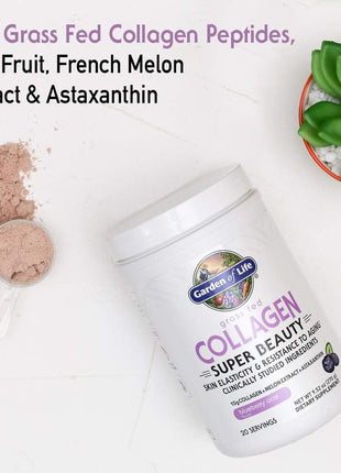 Garden of Life Grass Fed Collagen Powder, Blueberry Acai, 30 Servings | 10g Collagen Protein, Type 1 & 3, Plus Vitamin C