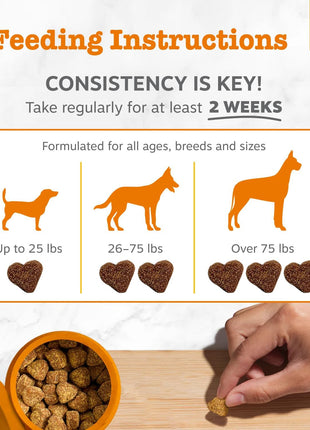 Zesty Paws Dog Allergy Relief Chews, Dog Probiotics for Itchy Skin and Ears, Salmon, 90ct (Pack of 2)