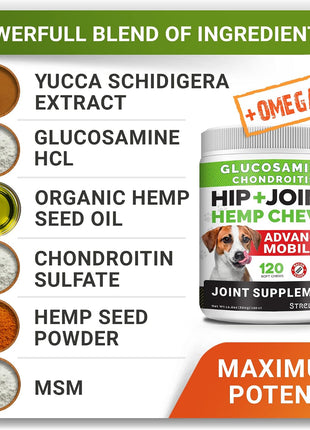 Allergy Relief + Hemp + Glucosamine Dogs Bundle - Itchy Skin Treatment + Hip Joint Pain Relief - Omega3 & Pumpkin + Chondroitin, MSM - Allergy Supplement + Advanced Mobility Hemp - 240ct - Made in USA