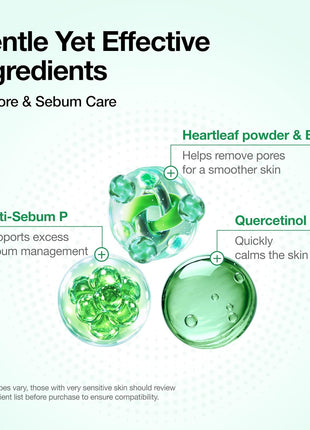 Anua Heartleaf Quercetinol Pore Deep Cleansing Foam, Face wash for Pore Refining Cleanser, Hydrating Daily Facial Cleanser For Double Cleansing, Gentle Foaming with BHA, Korean Skincare, 5.07 fl.oz.