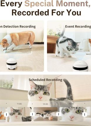 Enabot EBO ROLA Mini FamilyBot 2K Pet Camera Robot: Movable Indoor Camera Battery-Powered with Phone App, One-Touch Call, 2-Way Talk, Night Vision, Motion Detection, Video Recording