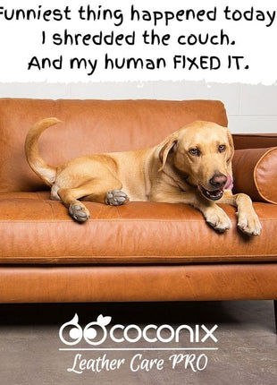 Coconix Leather & Vinyl Repair Kit | Fix Tears, Holes, Scratches, and Peeling on Leather and Vinyl Furniture, Car Seats, and Jackets | Easy Application with Customizable Colors