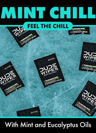 DUDE Wipes - On-The-Go Flushable Wipes - 1 Pack, 30 Wipes - Mint Chill Extra-Large Individually Wrapped Adult Wet Wipes - Eucalyptus & Tea Tree Oil - Septic and Sewer Safe