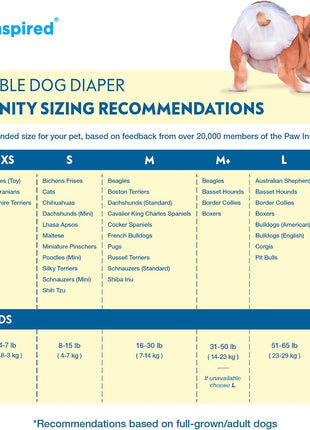 Paw Inspired 32ct Disposable Dog Diapers | Female Dog Diapers Ultra Protection | Diapers for Dogs in Heat, Excitable Urination, or Incontinence (Small)