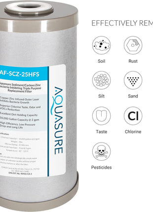 Fortitude V2 Series Sediment/Carbon/Zinc Bacteria Inhibiting Triple Purpose Replacement Filter - Standard (Sediment/Carbon/Zinc, Standard)