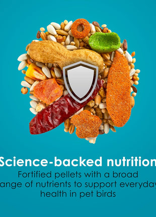 Kaytee Forti-Diet Pro Health+Safflower Nourish+Protect Parrot Food, Supports Breeding and Molting, Nutrition Backed by Science, Digestive and Brain Health, 4 pounds