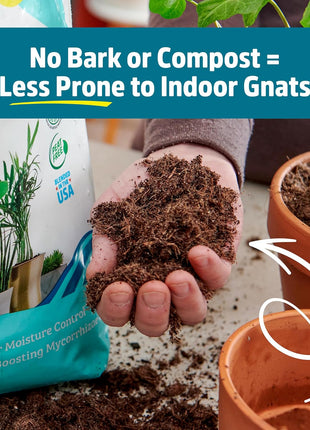 Back to the Roots 100% Organic Indoor Potting Mix (6 Quart), Promotes Healthy Houseplant Growth, Made in The USA