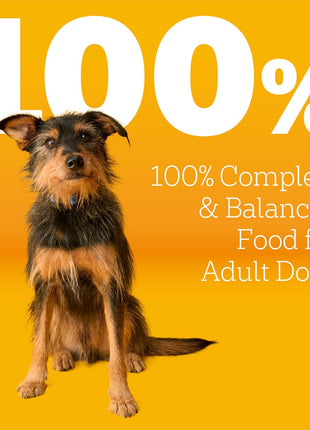 Pedigree Adult Dry Dog Food, Complete Nutrition, Grilled Steak & Vegetable Flavor, 18 lb. Bag