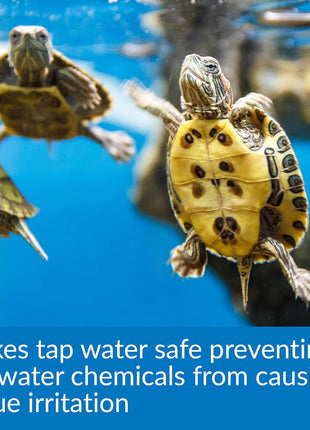 API TURTLE WATER CONDITIONER Water Conditioner 8-Ounce Bottle