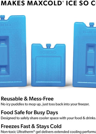 Igloo Maxcold Ice Block