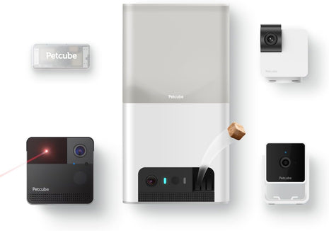 Petcube All Devices Pack: Cam, Cam 360, Bites 2 Lite, Play 2, GPS Tracker (All in one App)