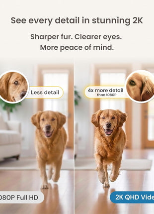 Furbo Mini 360° [Subscription Required] New 2K QHD Pet Camera - Unlock w/Paid Plan: Dog & Cat Safety Alerts, Rotating Treat Toss, 2-Way Speaker (Low Risk, 3mo Min. Cancel Anytime)