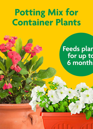 Miracle-Gro Potting Mix - For Container Plants, Flowers, Vegetables, Shrubs, Annuals, Perennials, Potting Soil Mix, Feeds up to 6 Months, 16 qt. (2-Pack)