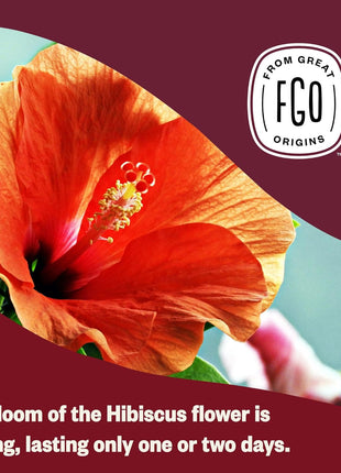FGO Organic Hibiscus Tea, 100 Count, Eco-Conscious Tea Bags, Caffeine Free, Packaging May Vary (Pack of 1)