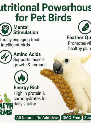Nemeth Farms Spray Millet - Edible Tops Only, Non-GMO and Sun-Dried - 1 lb for Parakeets, Canaries and Finches