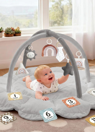 5-in-1 Thick & Plush Baby Play Gym, Baby Play Mats for Floor, Tummy Time Mat with 6 Toys, Convertible Stage-Based Developmental from Babies to Toddlers, Ball Pit, Pet Cushion Cloudico, Grey