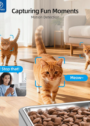 PAPIFEED Automatic Cat Feeder with Camera, 1080P HD & Night Vision, 6L Cat Food Dispenser with App, 5G WiFi Timed Cat Feeder for Dry Food, 2-Way Audio, Smart Pet Feeder for Dog, 1-10 Meals/Day, Grey