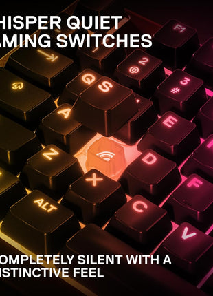 SteelSeries Apex 3 TKL RGB Gaming Keyboard – Tenkeyless Compact Form Factor - 8-Zone RGB Illumination – IP32 Water & Dust Resistant – Whisper Quiet Gaming Switch – Gaming Grade Anti-Ghosting,Black