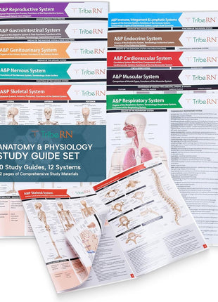 TribeRN Anatomy & Physiology Study Guides - Set of 10 Human Anatomy Guides for Nursing Students, School, College, Medical Professions - 12 Topics on Body Systems w/ Reference Charts & Terminology
