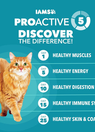 IAMS Proactive Health Indoor Weight Control & Hairball Care Adult Dry Cat Food, Chicken & Turkey Recipe, 7 lb. Bag