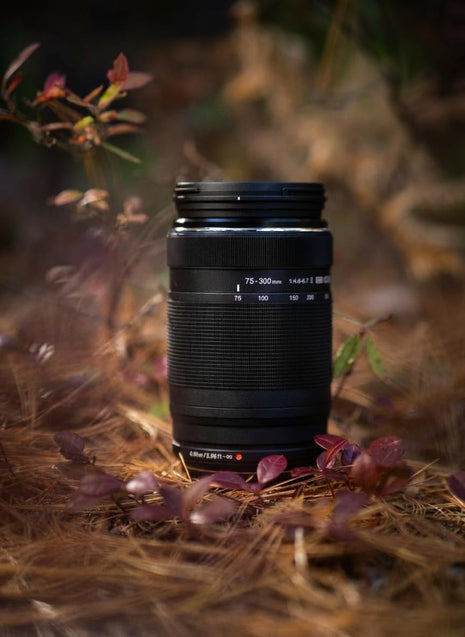 Olympus OM SYSTEM MSC ED-M 75 to 300mm II f4.8-6.7 Zoom Lens