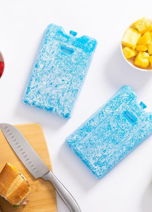 Igloo Maxcold Ice Block