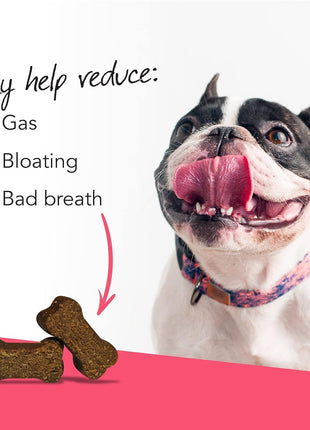 VetriScience Probiotic Everyday for Dogs, Duck Flavor, 120 Chews & Omega Plus Advanced Skin Supplement for Dogs, 40 Chews