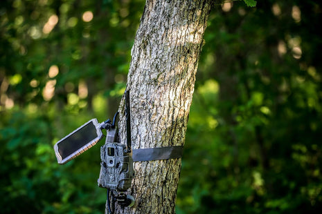 Stealth CAM Durable Sol-Pak Solar Battery Pack, 12V Solar Power Panel, Rechargeable Battery & 10ft Insulated Cable, Compatible with All Wireless/Cellular Trail Cameras - 3000 mAh