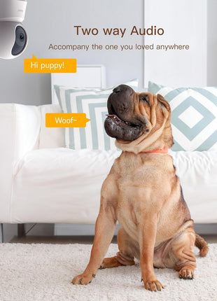 ARENTI 5G Indoor Security Camera, 4MP Pet Camera with Speaker for Dog/Cat, Baby Monitor with Phone App, Dual-Band WiFi, Auto Tracking, Super Night Vision, 2-Way Talk, Cloud & SD Card Storage(P2Q)