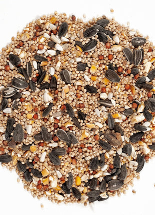 Wagner's 62004 Eastern Regional Wild Bird Food, 20-Pound Bag