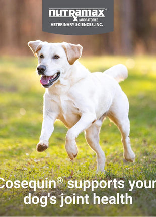 Nutramax Cosequin for Dogs Joint Health Supplement, Contains Glucosamine for Dogs, Plus Chondroitin and MSM, Supports Healthy Joints, For All Breeds and Sizes, Chewable Tablets, 132 Count